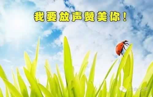 遇到平台出款不成功风控审核什么办法(图)