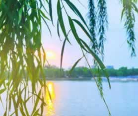 网络上被黑不给取教你处理（图）