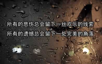 网上365不给取款 破解方案(图)