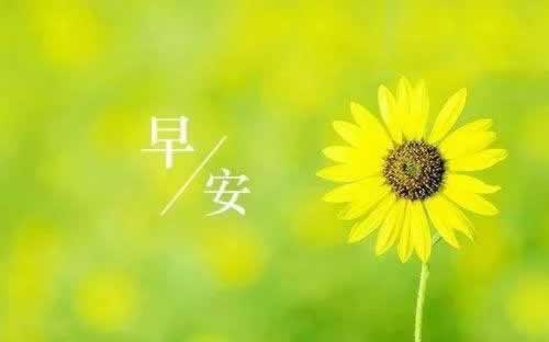 网站取款维护黑猫投诉怎么破解(图)
