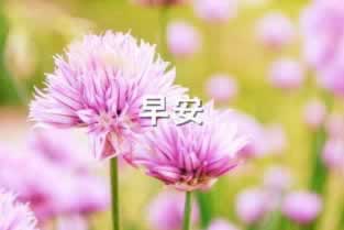 网上赢了系统不给提款的 处理策略（图）