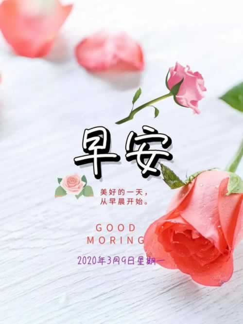 被黑了不出款提款提不了怎么处理 操作方案(图)