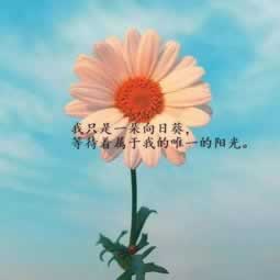 网上风控审核不能出款 处理方法（图）
