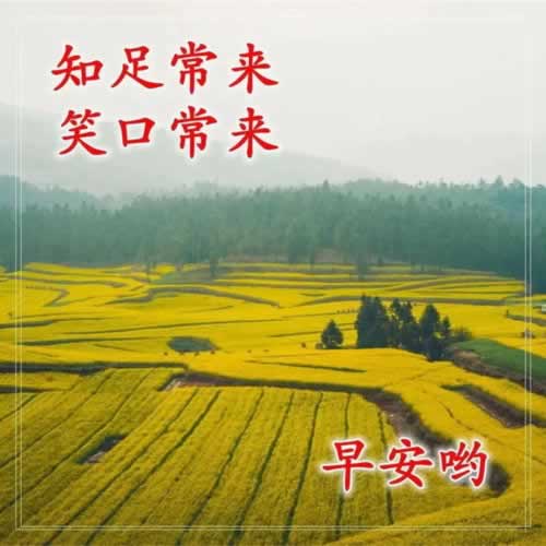 被黑了不给出款 操作思路（图）