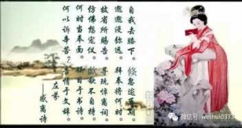 网上营前提款失败不到账解决方法（图）
