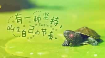 娱乐平台黑网说违规下注不给出款大家如何面对（图）