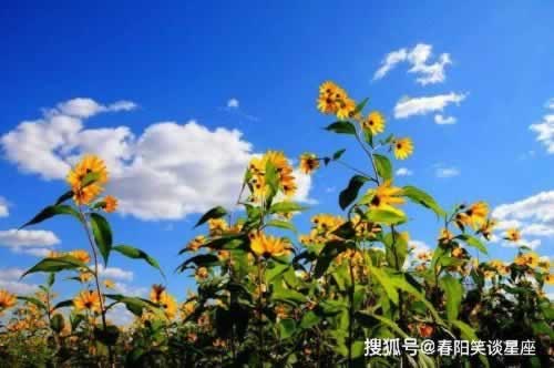 被黑有追回来的吗钱取回的方法 解决思路(图)