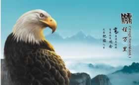 平台提现订单数据错误有什么解决办法吗 应对办法(图)