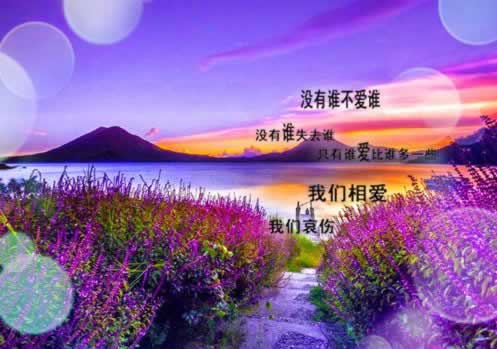 网上赢钱被黑提取失败提示通道维护 操作对策（图）
