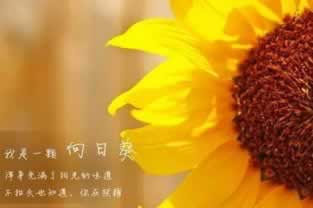 在网络平台出现提示财务清算取款失败 解决办法(图)