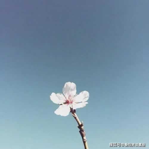 能解决提现一直不到账说通道维护中是什么情况(图)