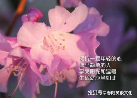 碰到显示出端口维护 解决思路(图)