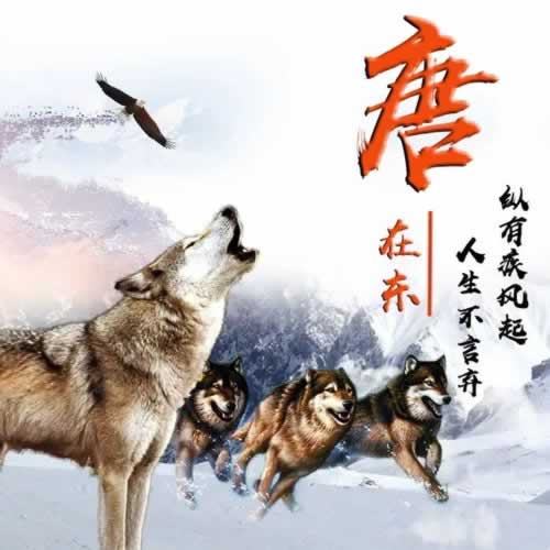 网上平台营前违规投注不让出款 解决策略（图）
