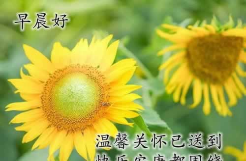 在网上有谁可以解决不能到账问题的找我们大家怎么破解(图)