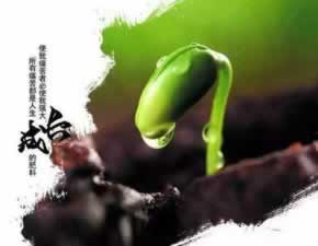在网上平台赢钱被黑账户上的钱提取不出 补救对策（图）