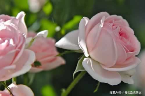 关于取款通道维护好几天了还能拿回钱吗 操作方式(图)