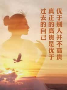 网上提取失败数据一直未更新要怎么解决（图）
