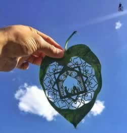 网上被黑正确的处理办法该注意(图)