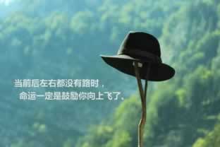 未通过风控审核什么意思严重吗 应对方式(图)