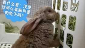 提款被黑真可以弄出来吗知乎教你如何避免（图）