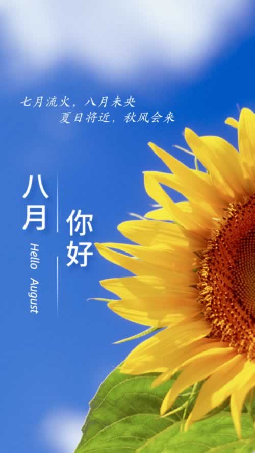 365被黑了碰到了怎么挽回(图)