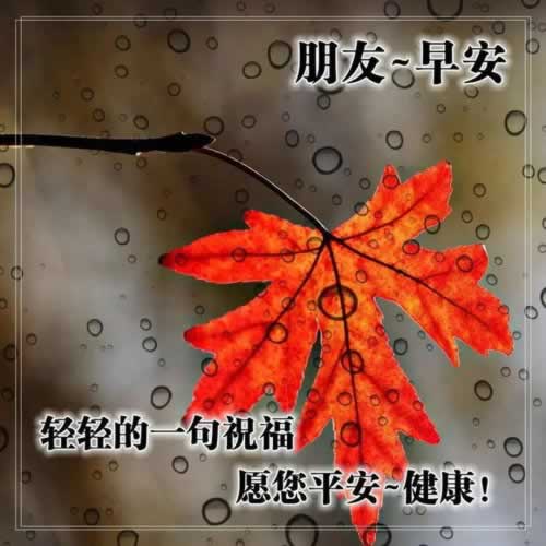 碰到风控审核提现失败的操作方案（图）