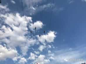网上赢钱风控审核不给提现 化解思路(图)