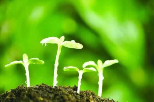 遇到网上被黑财务清算出款通道维护不给出款教你处理(图)
