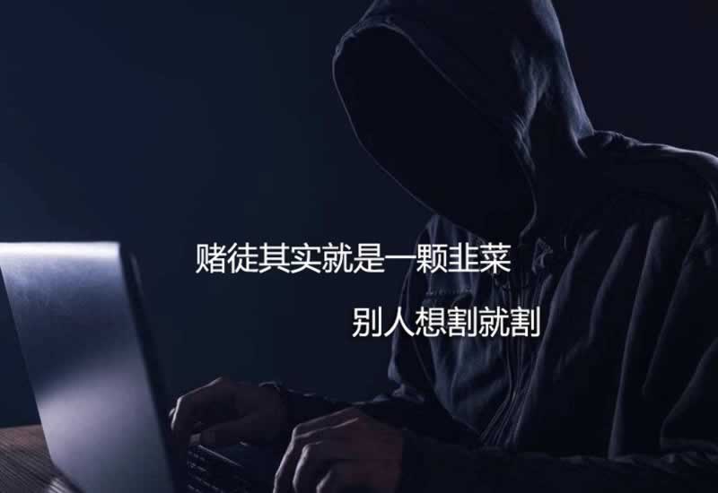 网上平台提款账户违规下注提不了款 化解思路（图）